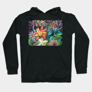 Bromeliad Rendevous Hoodie